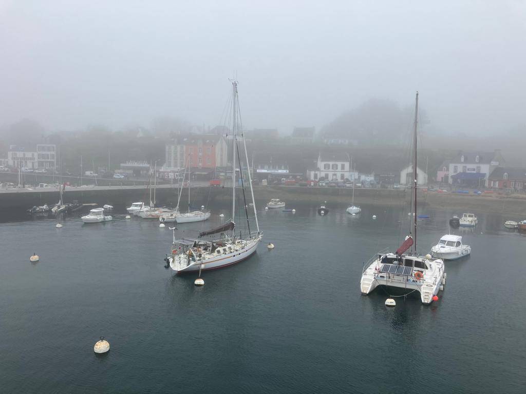 La mérule a encore frappé sur l île de Groix