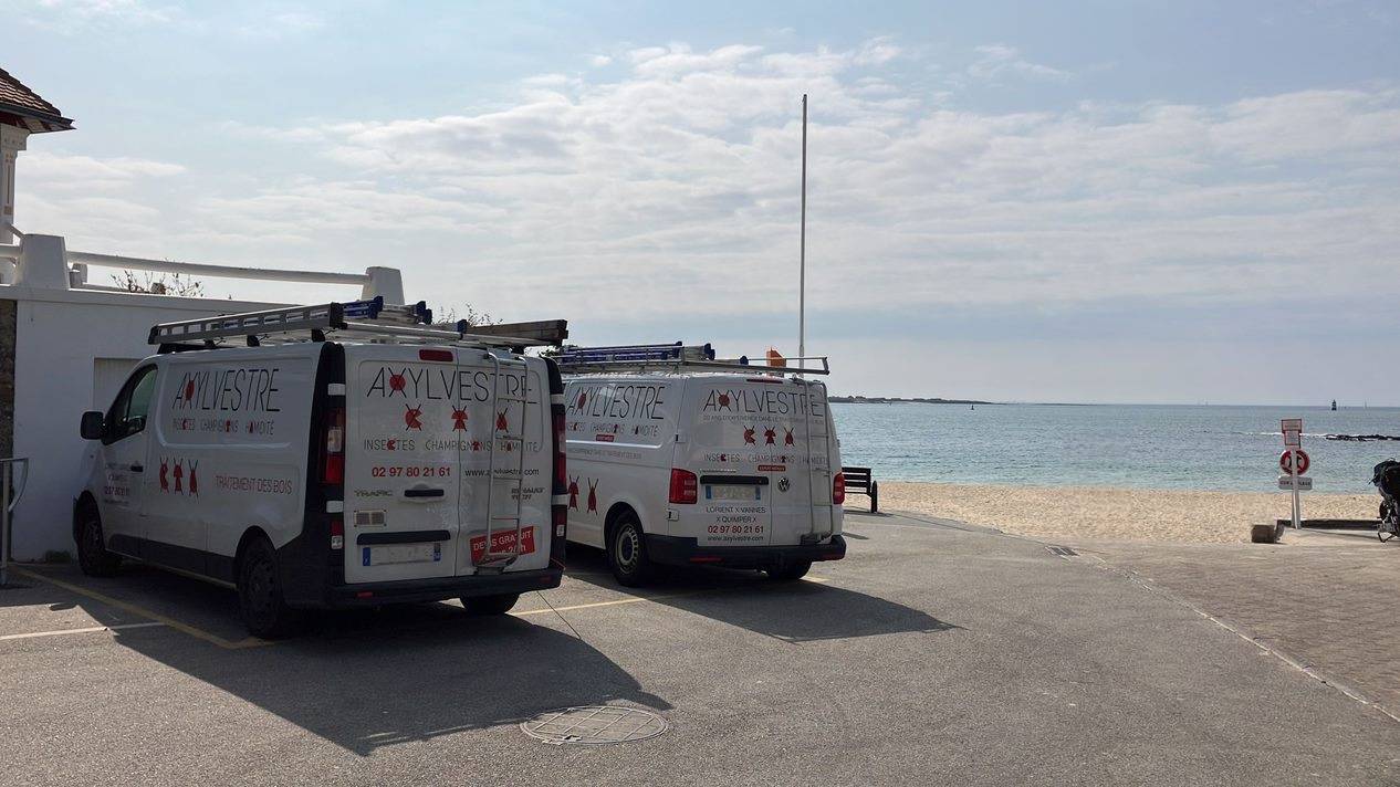 Chantier en bord de mer pour les équipes Axylvestre